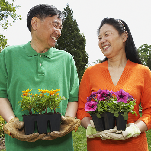 couple gardening